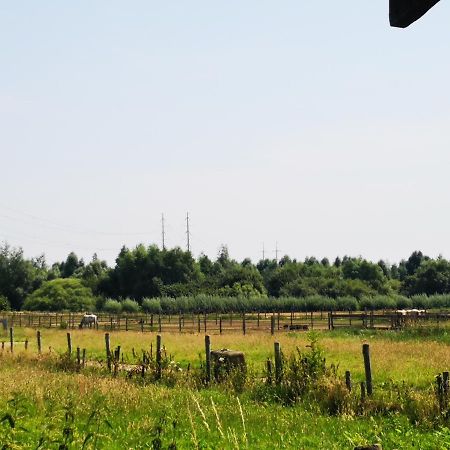 Ruime Romantische Blokhut Zwaanshoek ภายนอก รูปภาพ