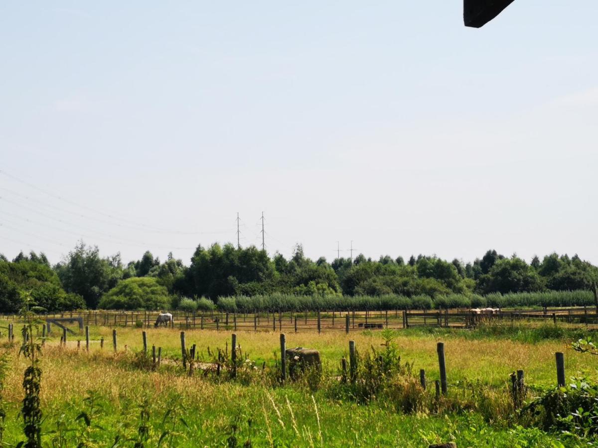 Ruime Romantische Blokhut Zwaanshoek ภายนอก รูปภาพ