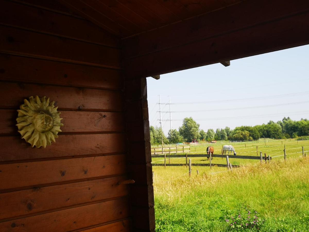 Ruime Romantische Blokhut Zwaanshoek ภายนอก รูปภาพ